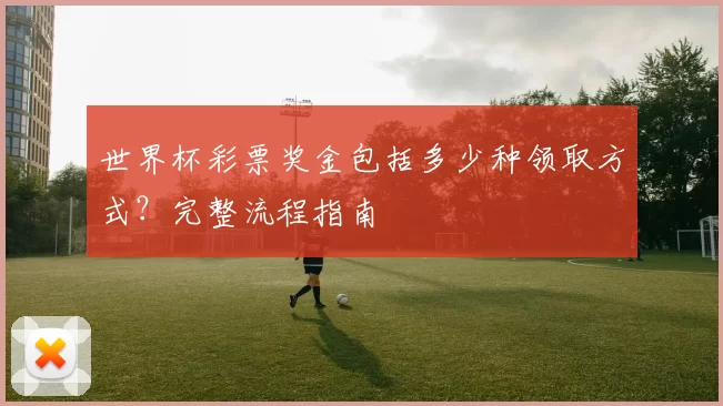 世界杯彩票奖金包括多少种领取方式？完整流程指南