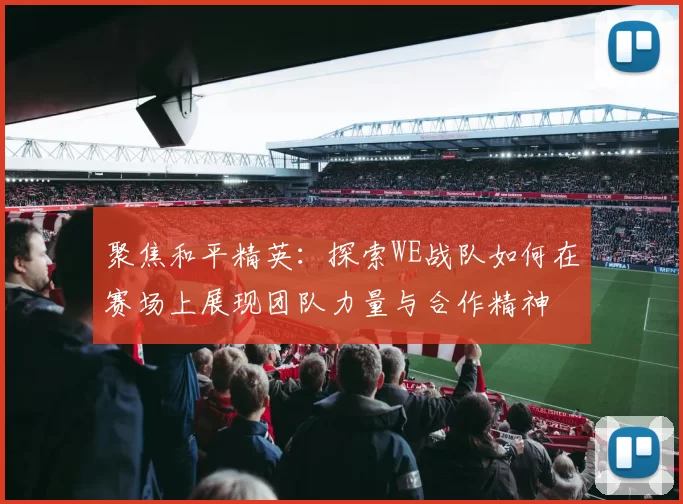 聚焦和平精英:探索WE战队如何在赛场上展现团队力量与合作精神