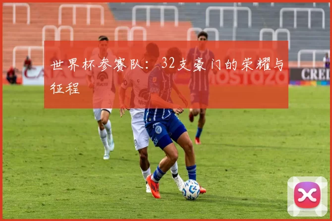 世界杯参赛队:32支豪门的荣耀与征程