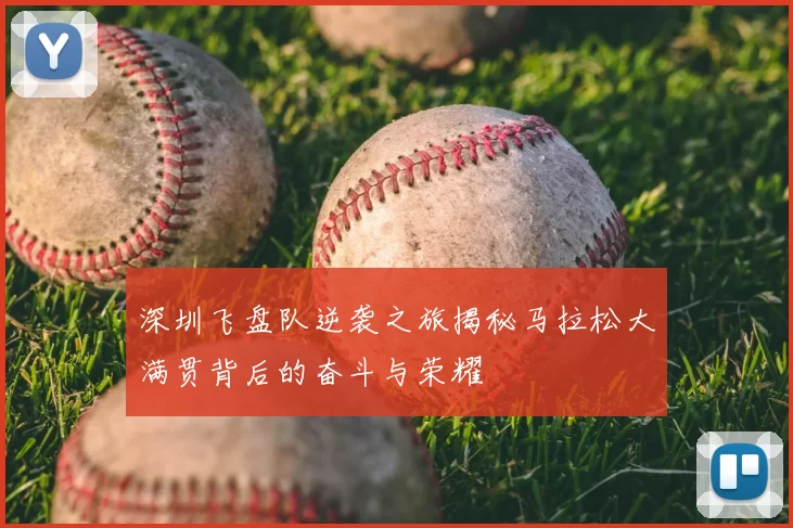深圳飞盘队逆袭之旅揭秘马拉松大满贯背后的奋斗与荣耀